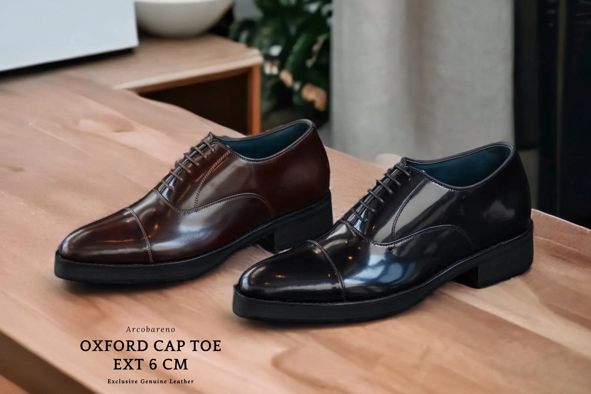 502-1 EXT 6 CM Oxford Cap Toe Burgundy